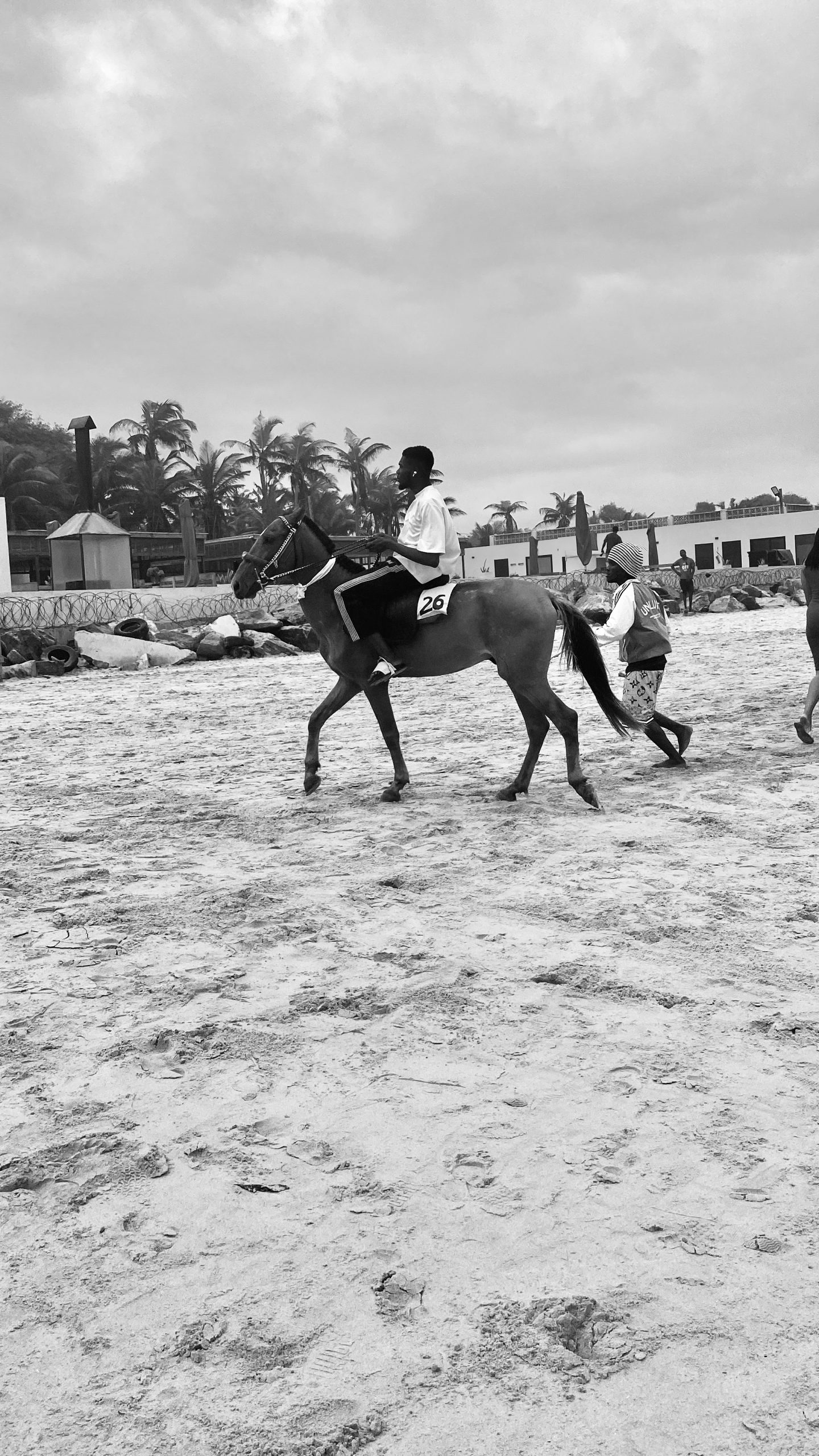 Horse riding on the beach